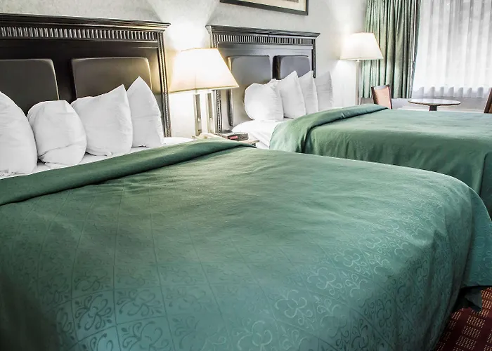 Quality Inn & Suites North Gibsonia